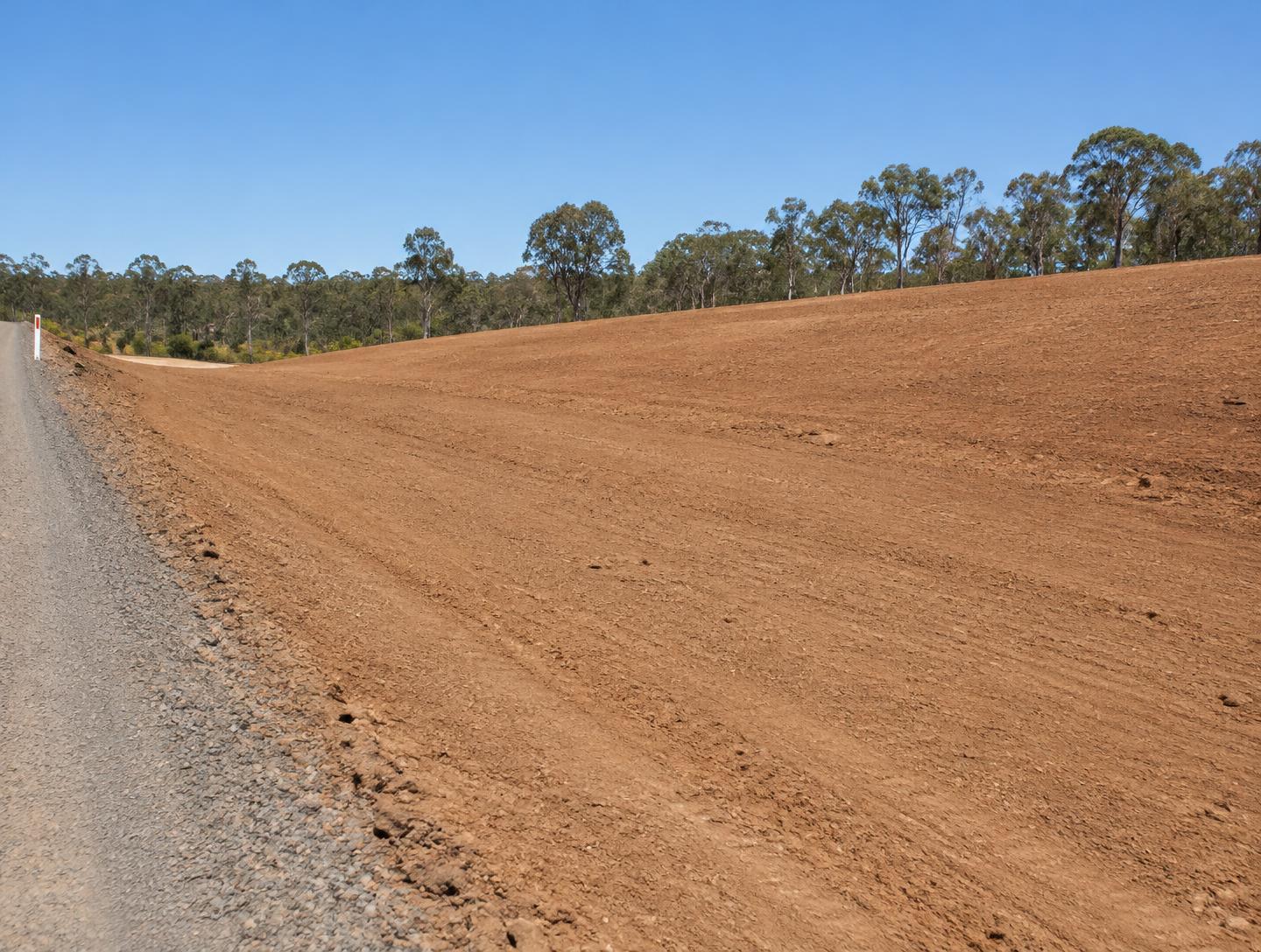 AI illustration of a bare dirt batter before revegetation